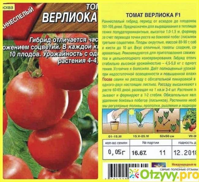 Томат марисса f1: фото и отзывы об урожайности помидоров, описание и характеристика сорта