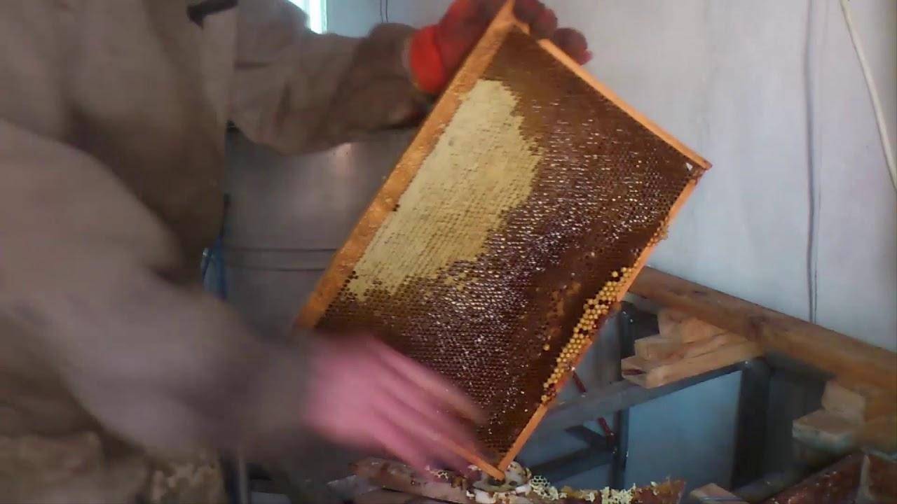 Инвентарь для пчеловодства: что надо иметь на пасеке