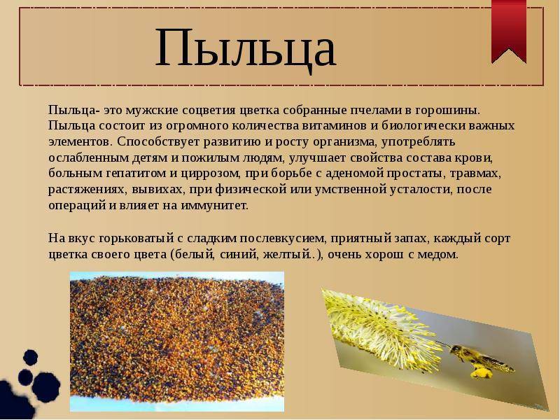 Пчелиная пыльца: польза и вред для здоровья