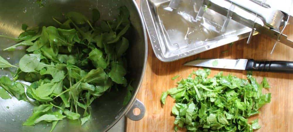 Руккола на зиму, как сохранить рукколу, можно ли заморозить и хранить в холодильнике, заготовка на зиму