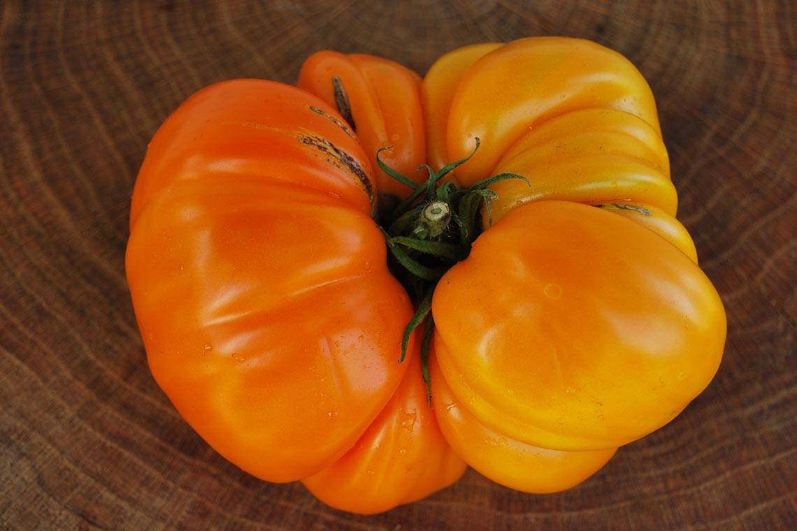 Характеристика и описание сорта томата оранжевое сердце, выращивание и уход