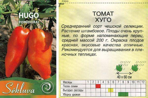 Выращивание томатов: сорта, выбор семян, посадка и особенности ухода | cельхозпортал