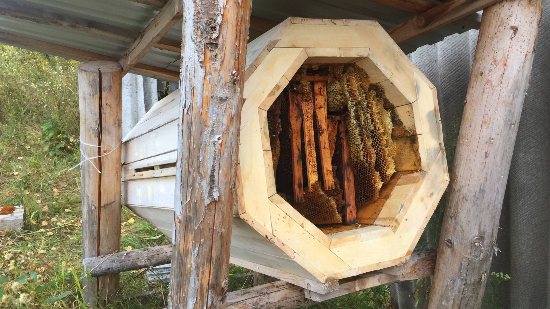 Что лучше – улей или колода для пчел: изготовление колоды за 1 день