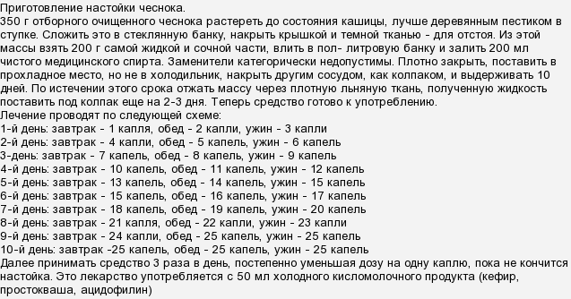 День по 15 капель. Тибетский рецепт чистки сосудов чесноком. Тибетская чесночная настойка схема приема.