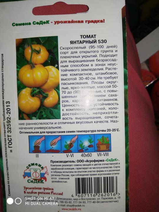 Описание и характеристика плодов томата Дина, преимущества сорта