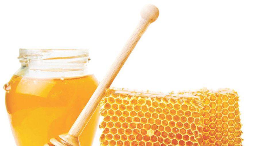 Померанцевый мед - полезные свойства нектара из цитрусовых