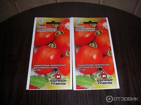 Выращивание томатов в открытом грунте семенами и рассадой: лучшие сорта и схемы