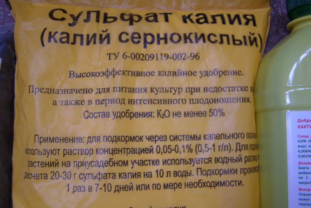 Калийное удобрение: применение на огороде и в саду весной и осенью