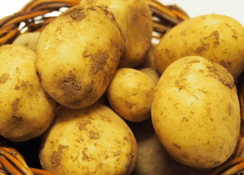 Описание и характеристика картофеля сорта Тимо