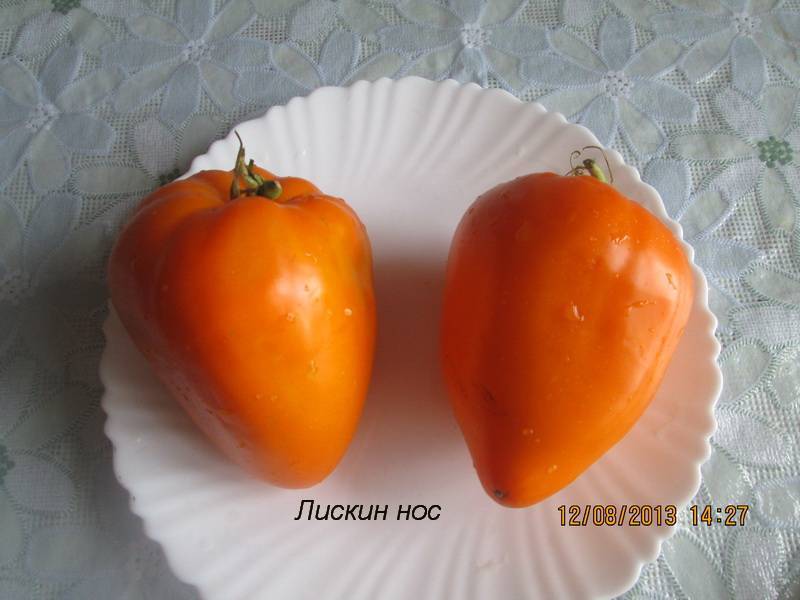 Томат оранжевое сердце: характеристика и описание сорта