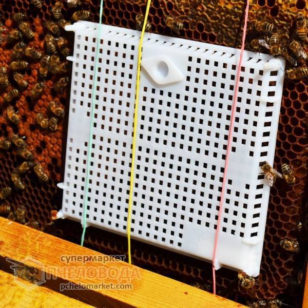 Жизнь нашей пасеки или практическое пчеловодство: о подсадке маток отводкам в клеточке титова.