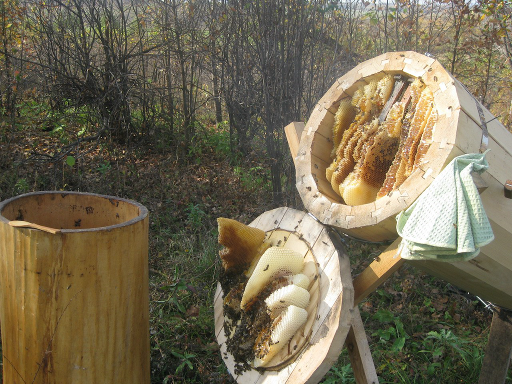 Колода для пчел своими руками: размеры и чертежи, пошаговые инструкции