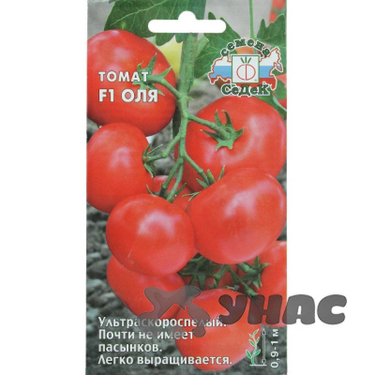 Сорт томатов оля f1. Семена томат Оля СЕДЕК. Томат Оля f1. Томат Оля f1 характеристика и описание.