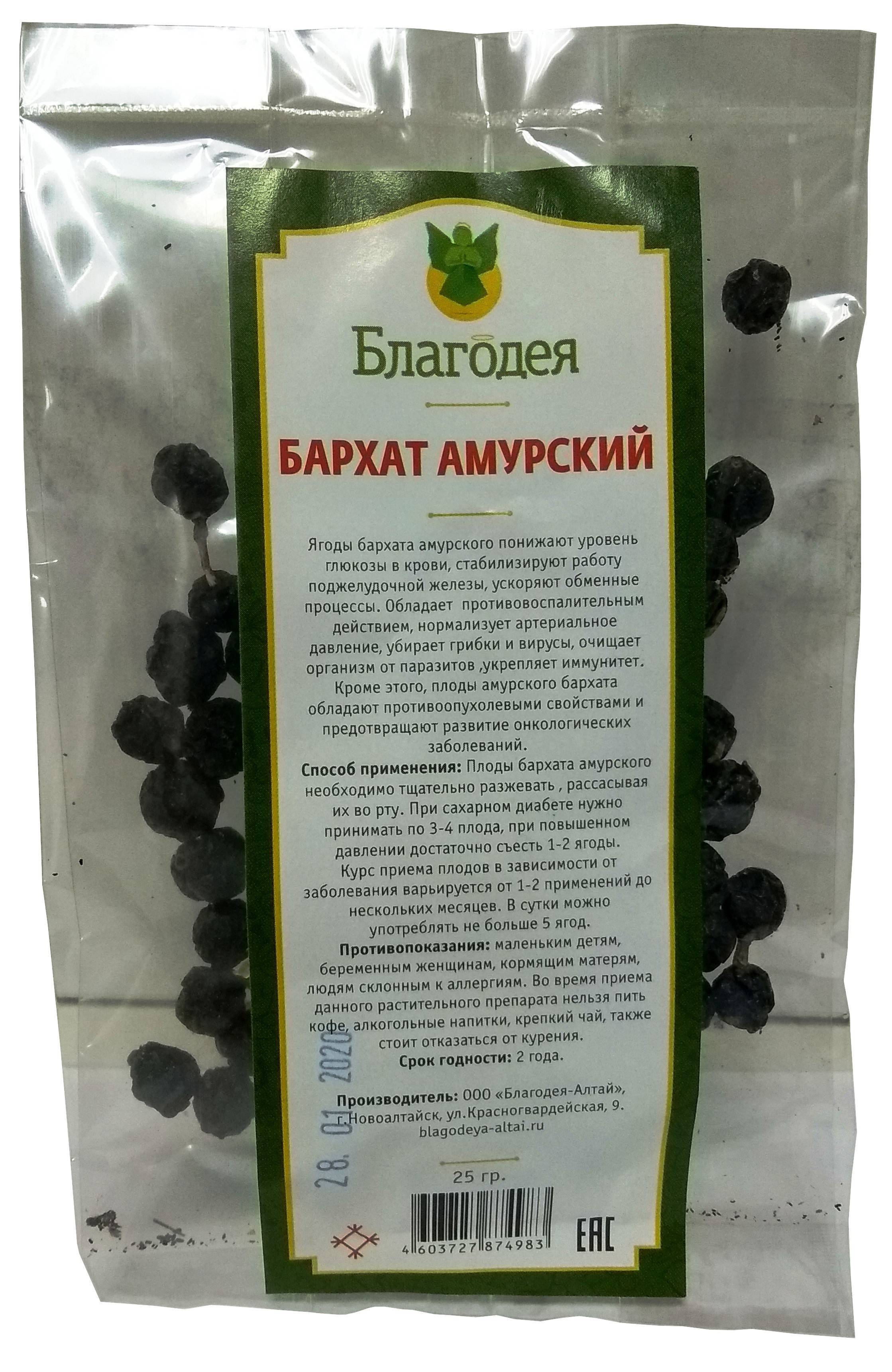 Плоды амурского бархата: лечебные свойства ягод бархатного дерева, их применение