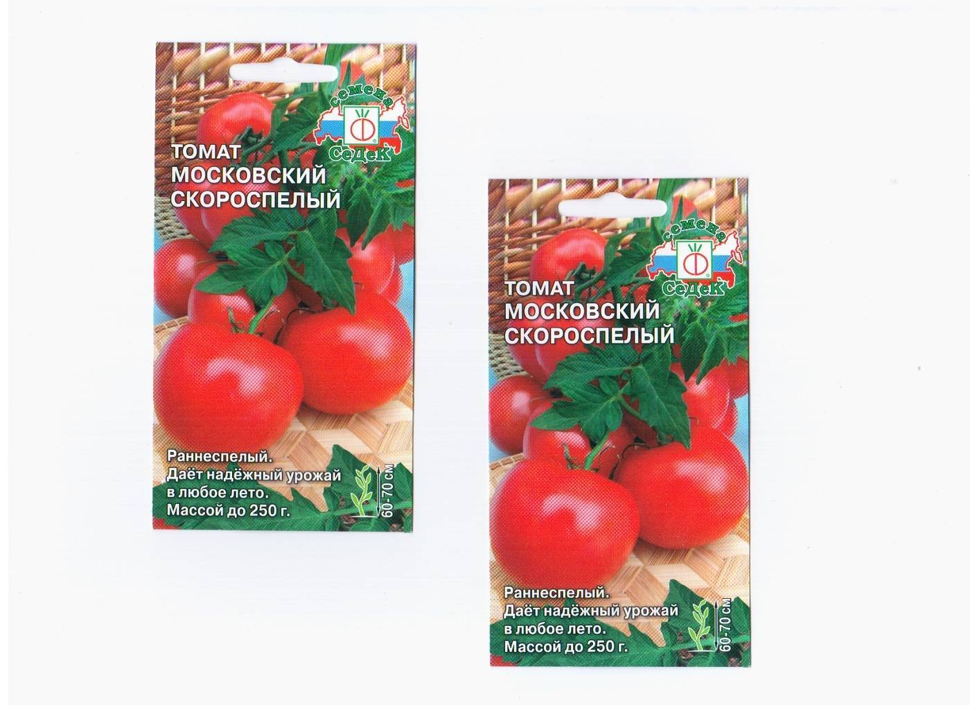Как выращивать помидоры через рассаду: от семечка до кустика