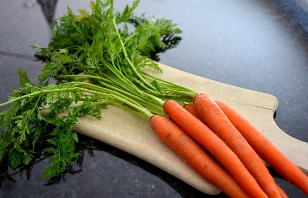 Морковная ботва, лечебные свойства и противопоказания