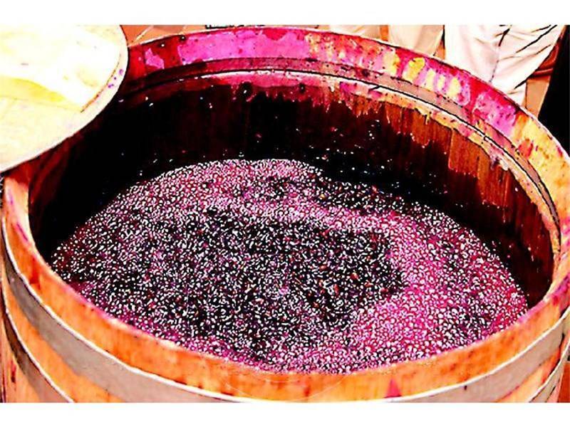 Изготовление домашнего вина из винограда: от выбора сорта до розлива