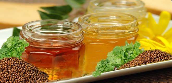 Кориандровый мед полезные свойства и применение