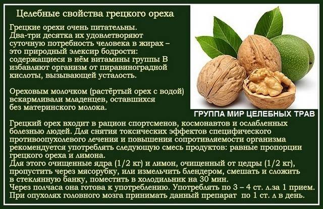 Грецкий орех: полезные свойства и противопоказания, лечебные рецепты применения в народной медицине, использование масла
