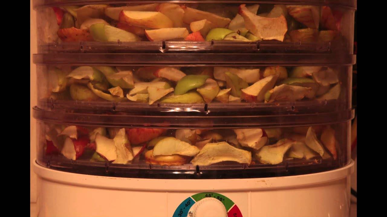 Как сушить яблоки и груши в электросушилке — читать ответ