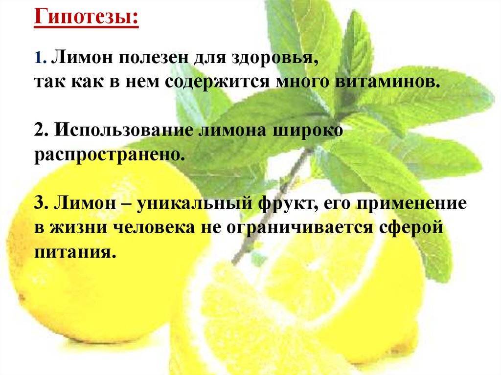 Польза и вред лимонов для организма, рецепты здоровья, отзывы
