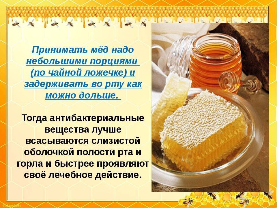 Из чего его делают белый мёд: виды белого меда, из чего его делают, названия, польза и вред, получение, разновидности, советы по хранению и распознаванию подделки