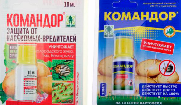 Инсектицид командор для обработки картофеля от колорадского жука: иструкция по применению средства