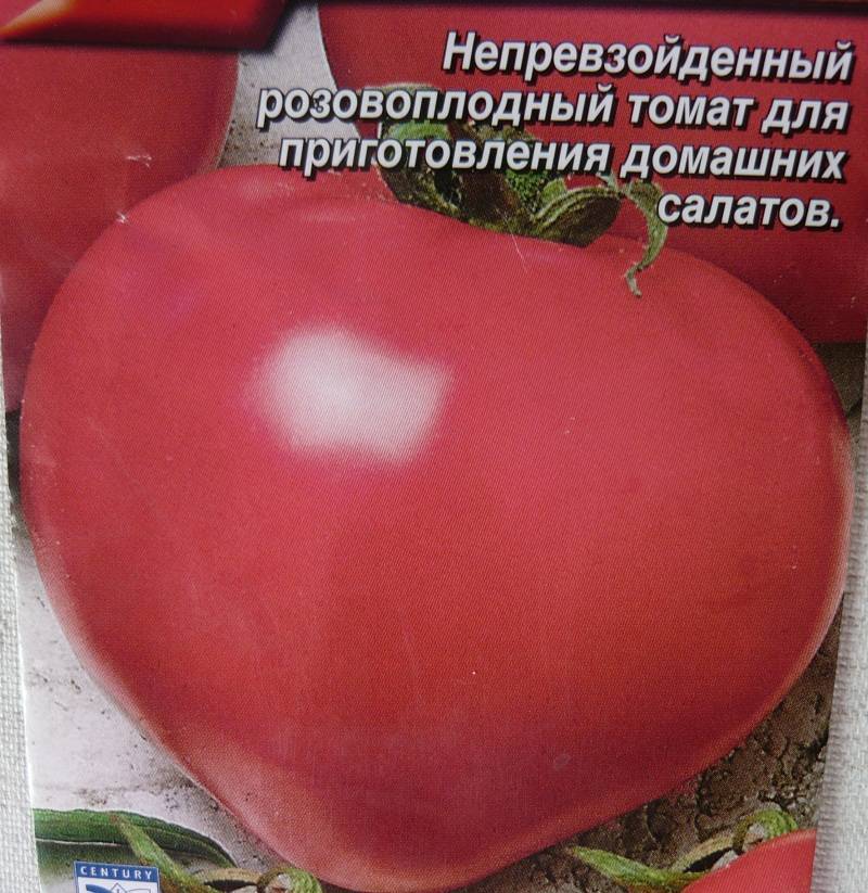 Томат «настенька» – описание сорта, фото и отзывы тех, кто сажал