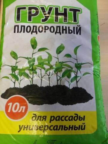 Подготовка почвы для рассады томатов: как приготовить землю своими руками