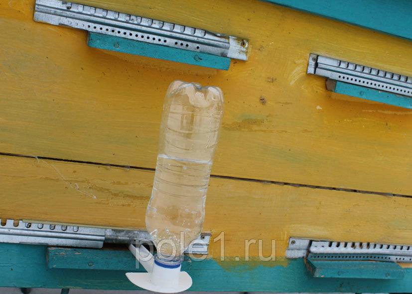 Кормушки для пчел своими руками: из бутылки, потолочные (фото)