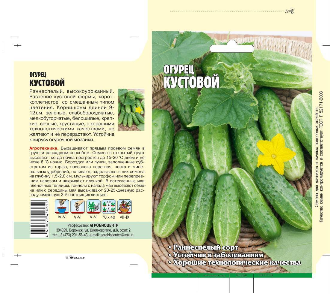 Огурец беттина f1: описание сорта, фото, отзывы, урожайность