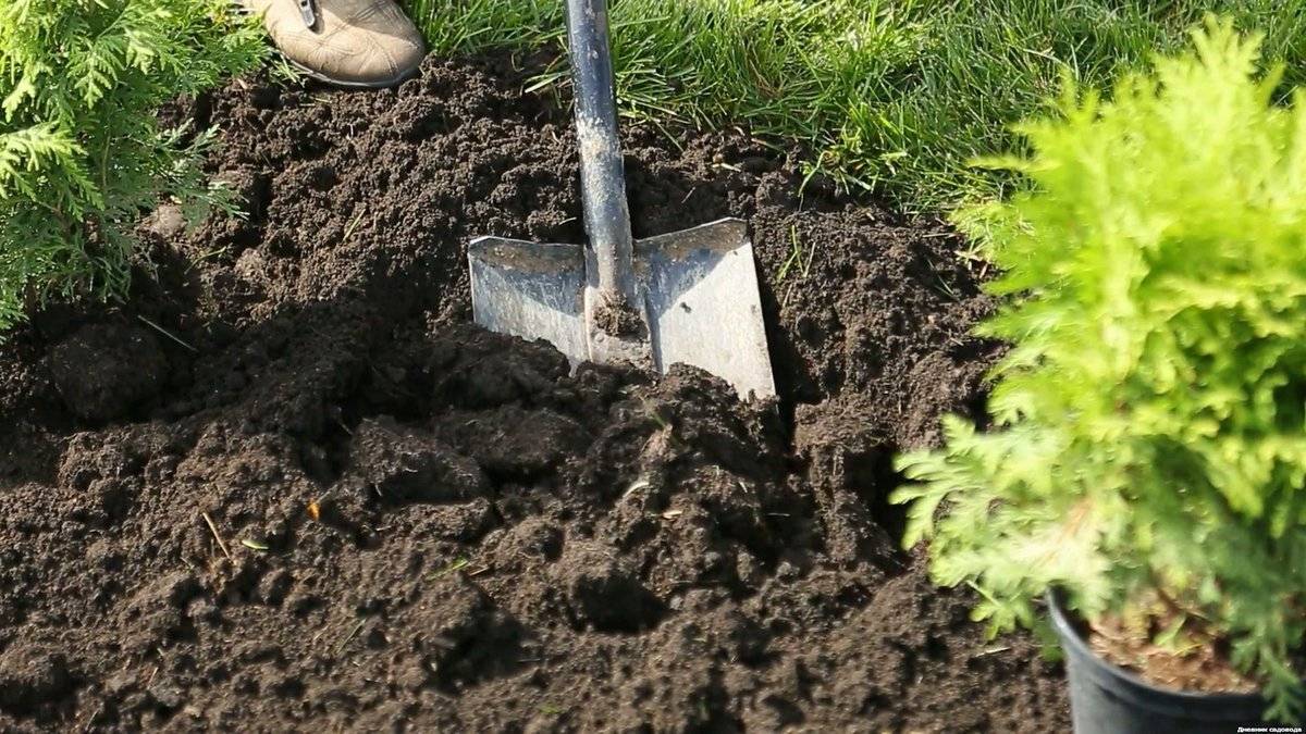 Когда и зачем копать огород, как правильно перекапывать грядки
