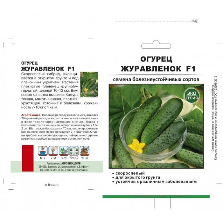 Сорт огурцов гуннар f1 отзывы, описание, фото, урожайность, посадка и уход