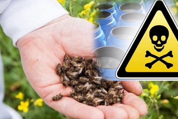 Действия пчеловодов при отравлении пчел пестицидами