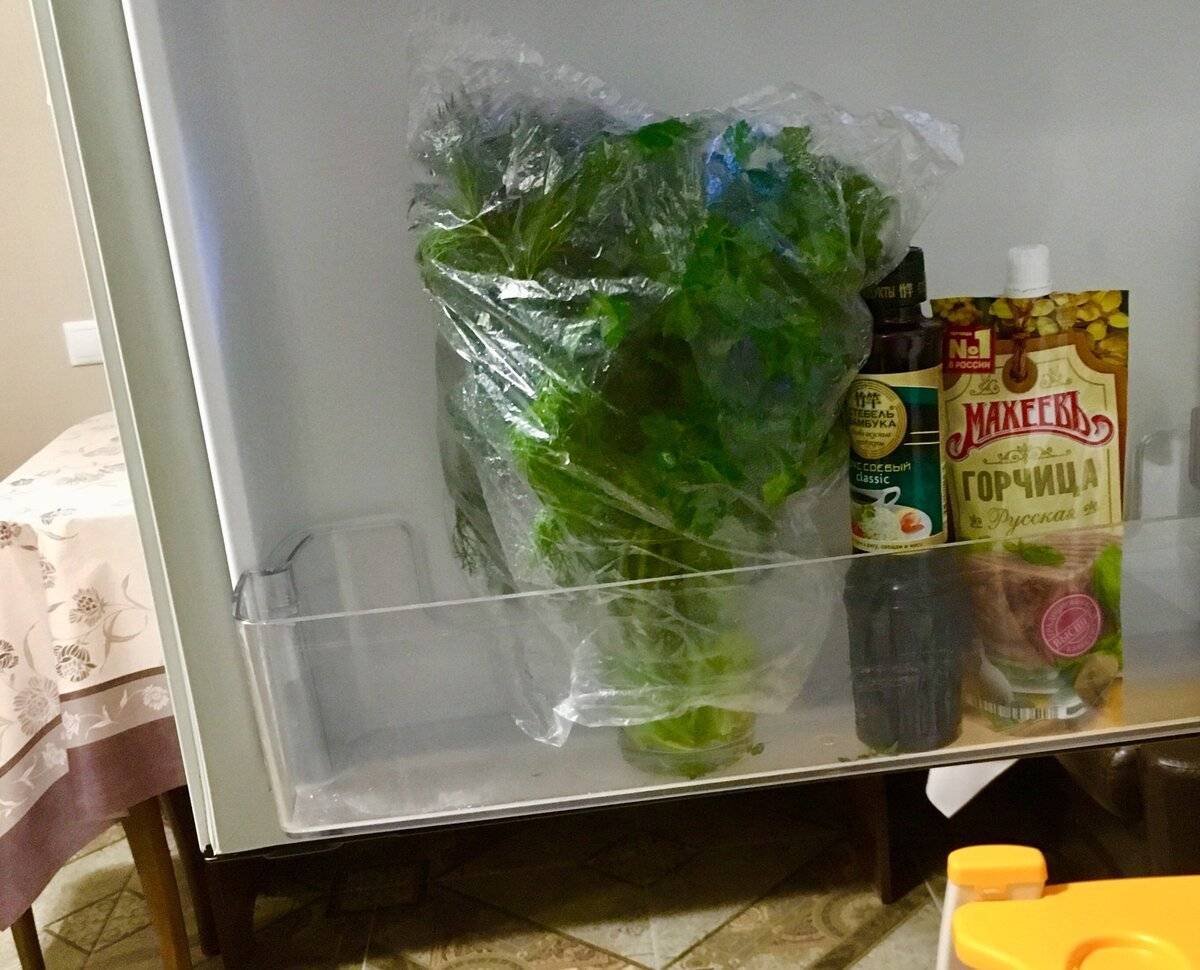 Как заморозить петрушку на зиму в холодильнике
