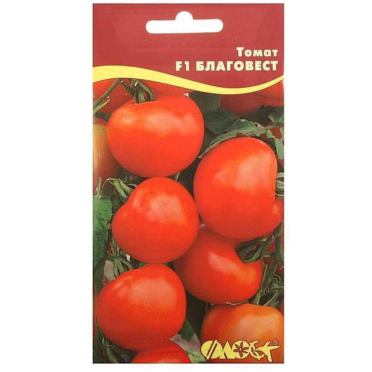 Томат наш благовест от уральский дачник: отзывы об урожайности помидоров и фото, характеристика и описание сорта