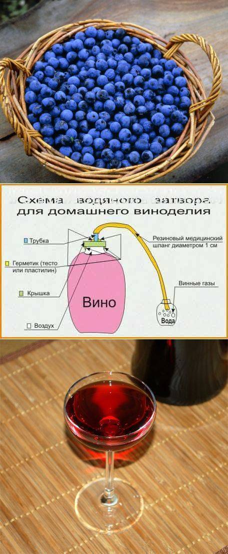 Приготовление сухого вина в домашних условиях: рецепты и секреты изготовления