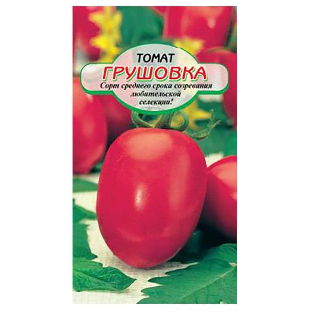 Томат "московская грушовка": описание сорта, характеристики плода и фото помидор