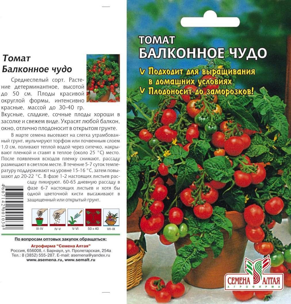 Томат “безрассадный спринт 2” и список похожих сортов – учимся выращивать помидоры без рассады и пикировки