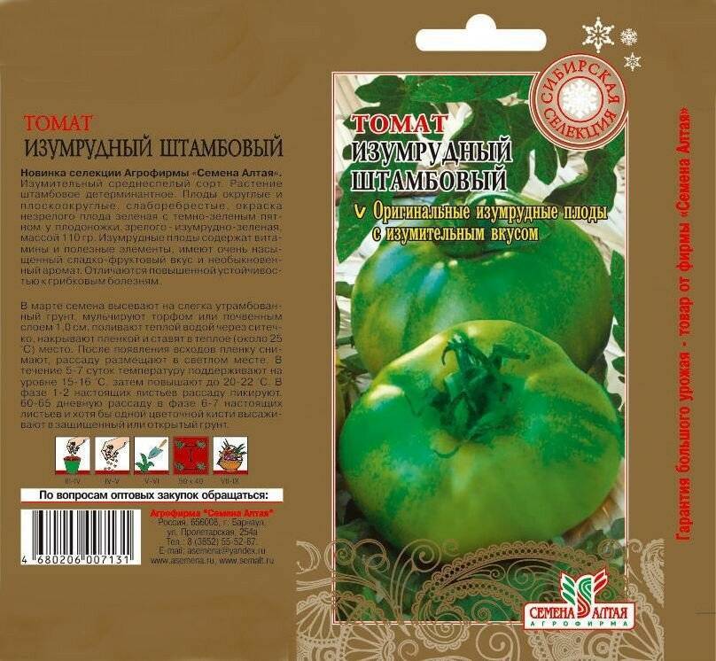Описание томата изумрудное яблоко, выращивание рассады и борьба с вредителями