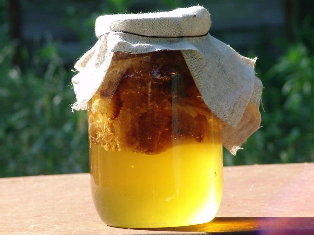 Забрусовый мед - что это, полезные свойства, хранение, характеристики и состав