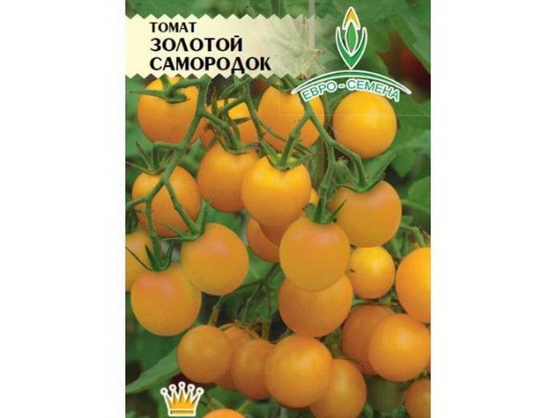 Томат золотые купола: характеристика и описание сорта, урожайность с фото