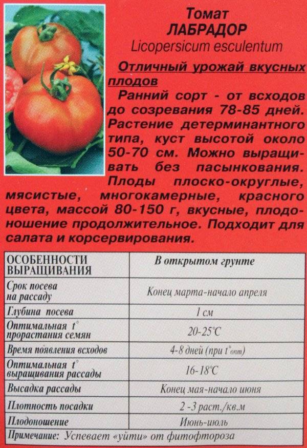 Описание сорта томата лабрадор: ранние и крупные