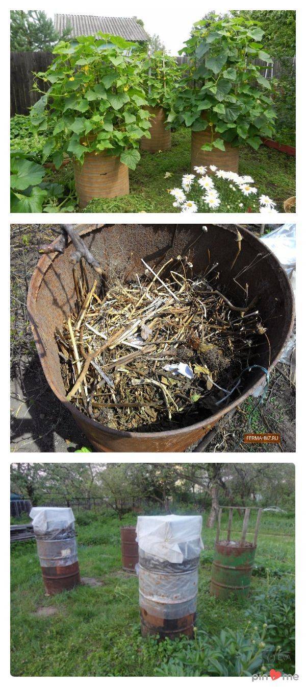 Огурцы в бочке: выращивание пошагово - посадка и как посадить, куда ставить на даче бочонок, как выращивать и вырастить