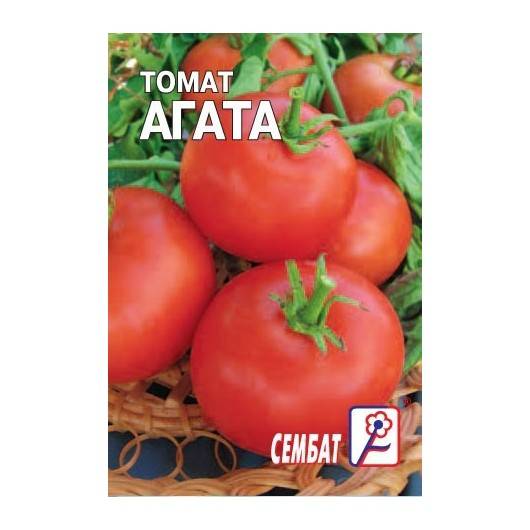 Томат агата: характеристика и описание сорта, отзывы тех кто сажал помидоры с высокой урожайностью, фото по выращиванию с семян и видео