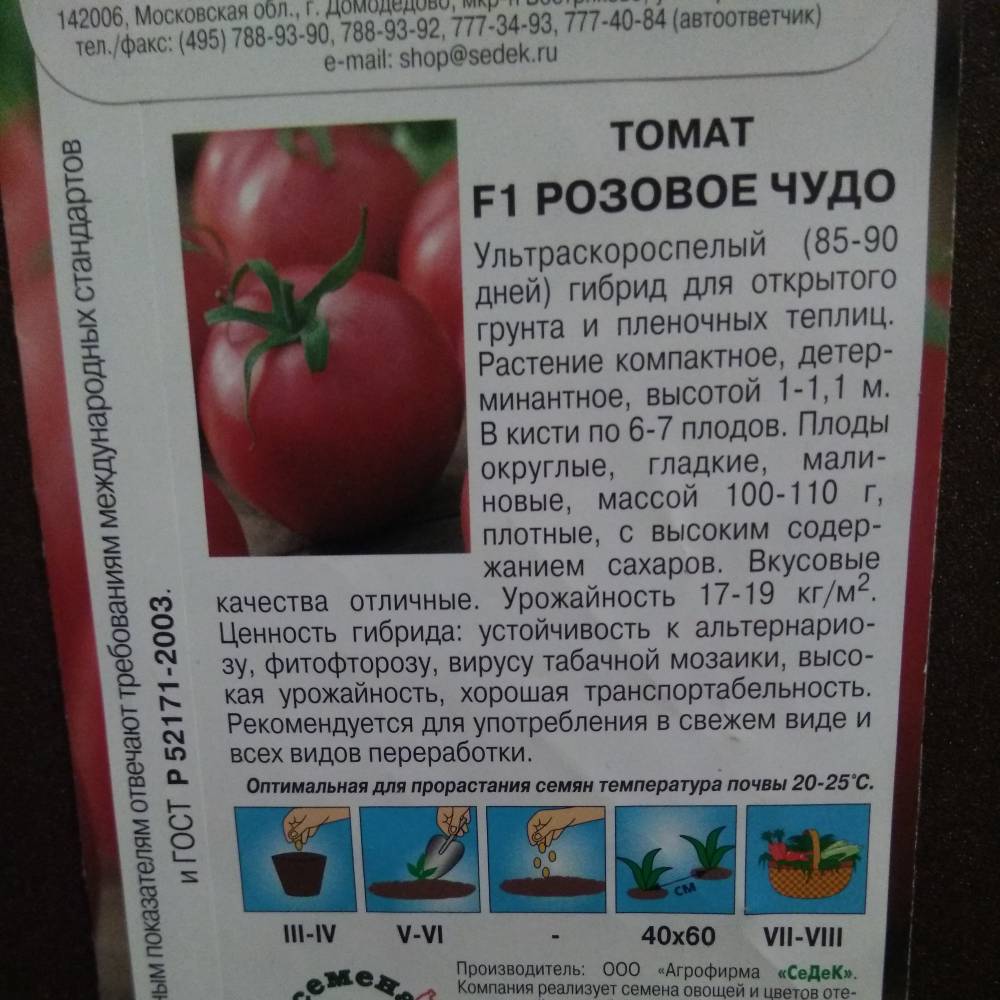 Томат "шоколадное чудо": описание сорта с фото, рекомендации по уходу за помидором русский фермер