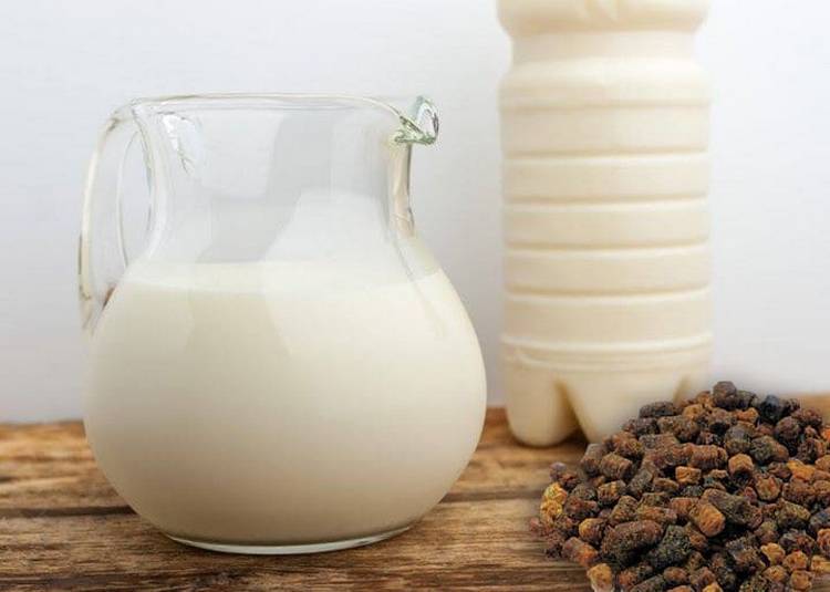 От чего помогает и как принимать прополис с молоком?