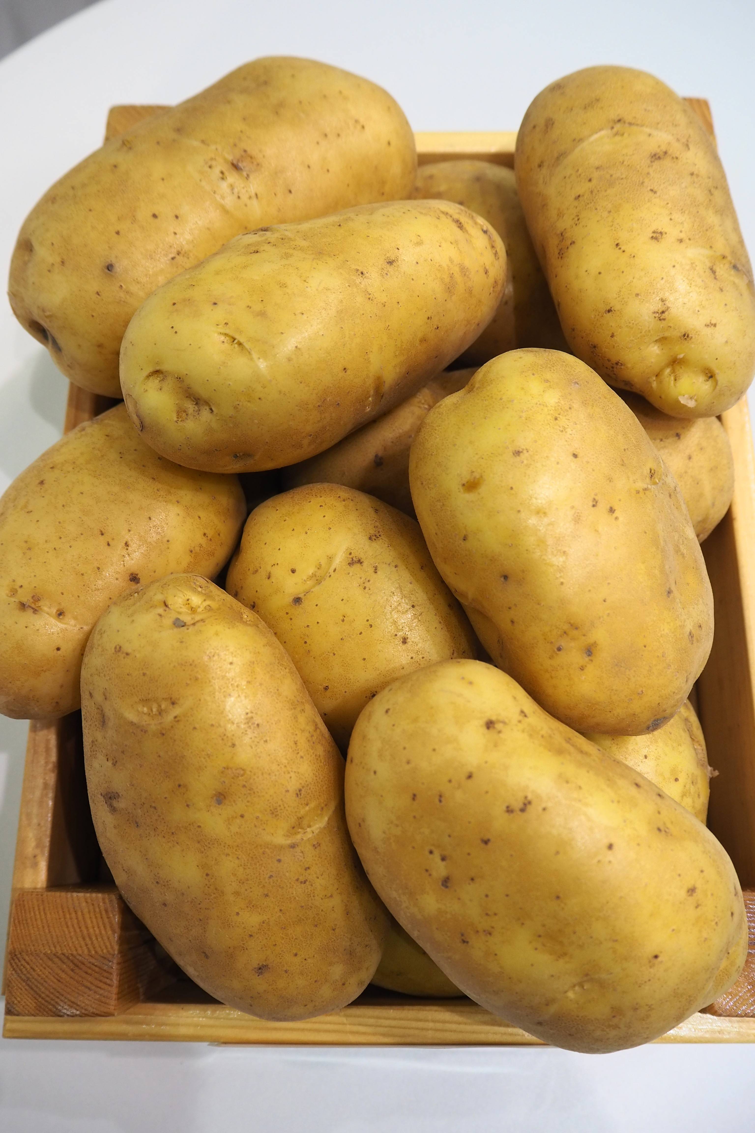 Сорт картофеля любава характеристика отзывы фото