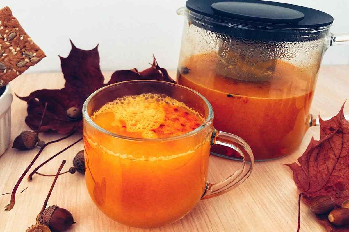Морковный чай: польза и вред, лечебные свойства и противопоказания