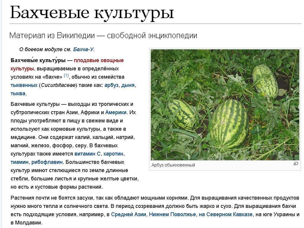 Сельскохозяйственные культуры: зерновые, овощные, технические культуры :: businessman.ru